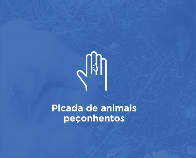 picada-de-animais-peconhentos.png